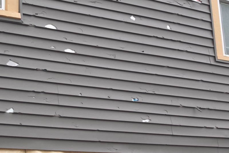 Siding Panel Replacement